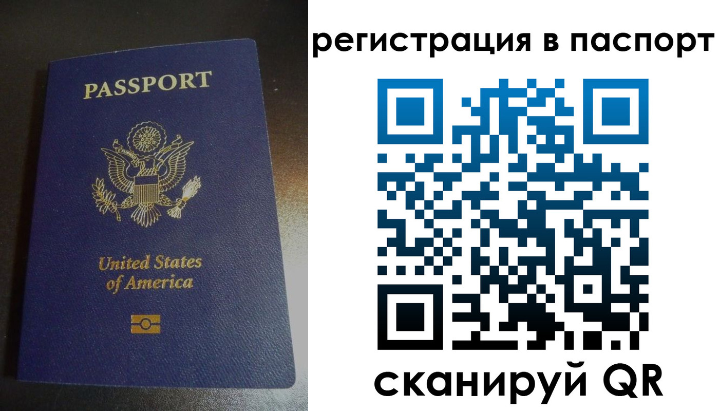 прописка для школы в Чкаловске
